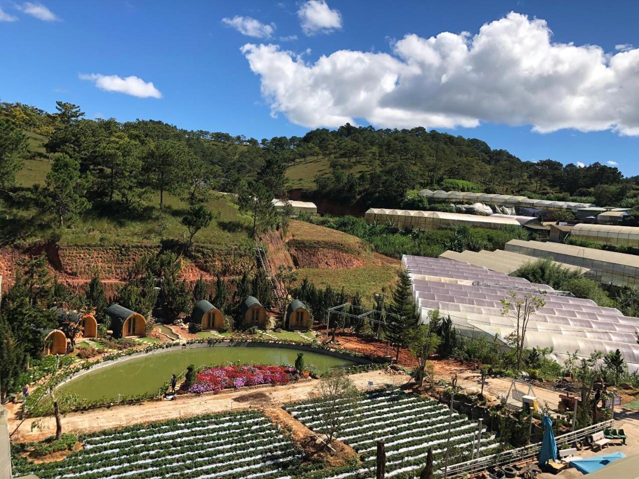 Berry Valley Homestay Dalat Exteriör bild
